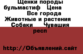 Щенки породы бульмастиф › Цена ­ 25 000 - Все города Животные и растения » Собаки   . Чувашия респ.